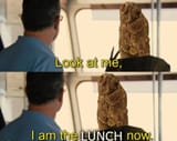 lunch.log.......