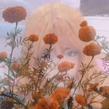 marigoldcopy