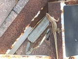 IMG_20250601_175518047