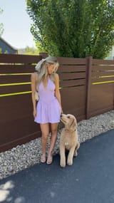 Kat_1