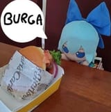 cirno burga 4