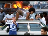 goyim