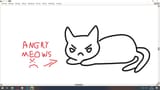 angry meows