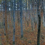 Beech Grove