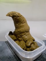 johylbpjpiy61