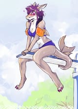 shark afraid of jumping into water 1440017307766