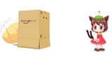 CHEN BEING WATCHED BY A FOX IN A BOX