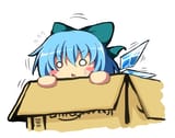 Cirno Lurkin Box