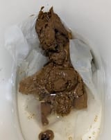 Nignog