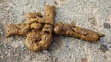 Large_pile_of_human_feces