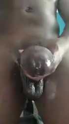 1743999141305421_thumb.jpg