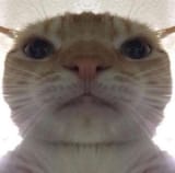 3wlrfietzzq31