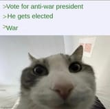 anti war president