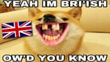 1705378314221717m
