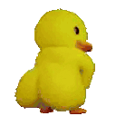duckass