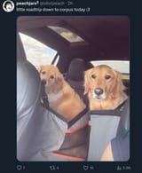roadtrip