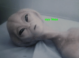 ayylmao