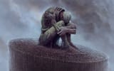 the decaying body weeps