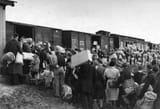 jews-holocaust-3870051007