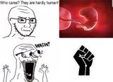 blacks or fetus