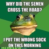 silly-foul-bachelor-frog-all-your-socks-are-gross