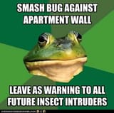 foul-bachelor-frog-ye-be-warnd