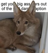 1749091690124605