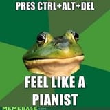 foul-bachelor-frog-has-mastered-the-keyboard