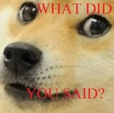 what_did_you_said