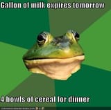 foul-bachelor-frog-gallon-of-milk-expires-tomorrow