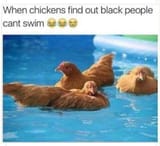 chickensaresmart