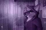 wolfirry - 1a4e56a2d76eee642054c841756dc8b9