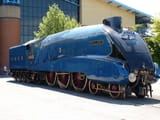 Mallard 1