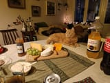 The.cat.with.cusine..........