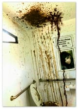 SHIT.SPLAT.LOGGED.