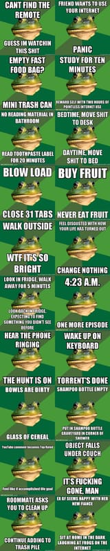facebookfrog5