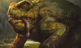 giant frog