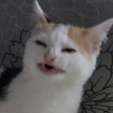 16293476234234