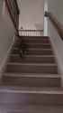 stairs_thumb.jpg