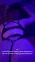 94f7cf28432945b2a4a99e25623978fd-ezgif.com-mute-video_thumb.jpg