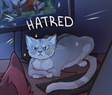 angry cat