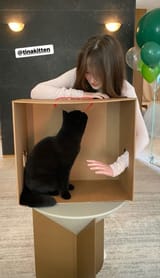 catge