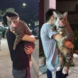 giant.cat