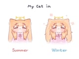 cat summer winter