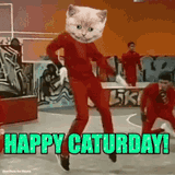 happy-caturday