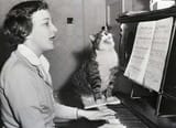 PIC.WORTH.IT.CAT........