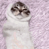 sock-contained