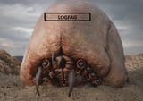 LogFat