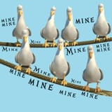 mine