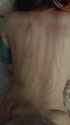 VID_20241117_131912_thumb.jpg